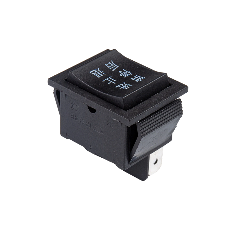 R11-213 สวิตช์โยก