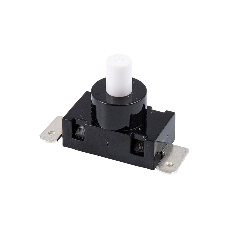 สวิตช์ปุ่ม P12-3B